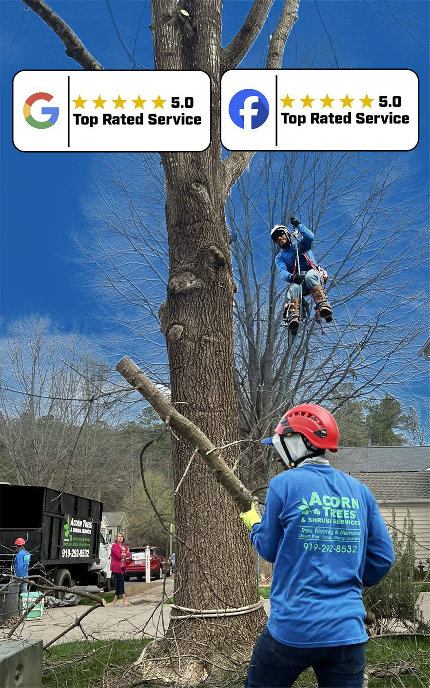 Acorn Tree & Shrubs Services crew