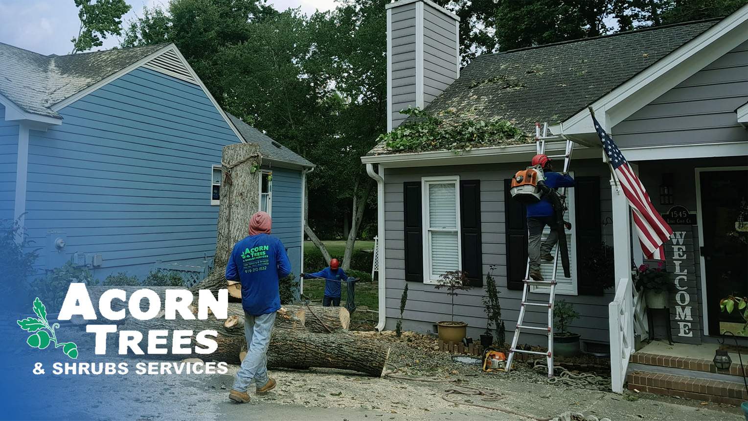 Acorn Tree & Shrubs Services crew